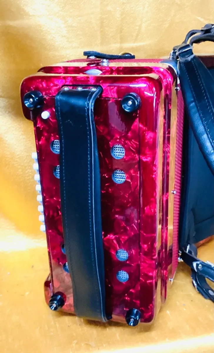 E SOPRANI 26 KEY 48 BASS 2 VOICE PIANO ACCORDION - Image 2