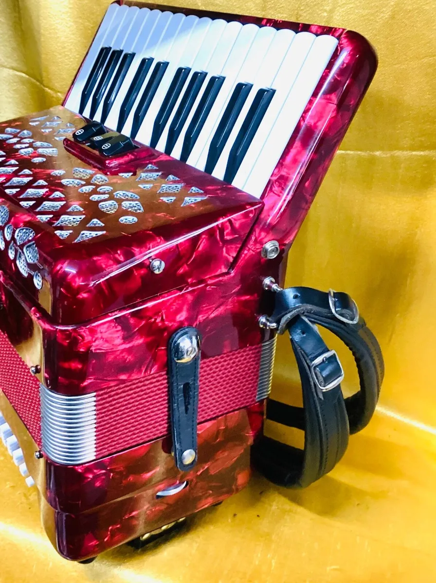 E SOPRANI 26 KEY 48 BASS 2 VOICE PIANO ACCORDION - Image 4