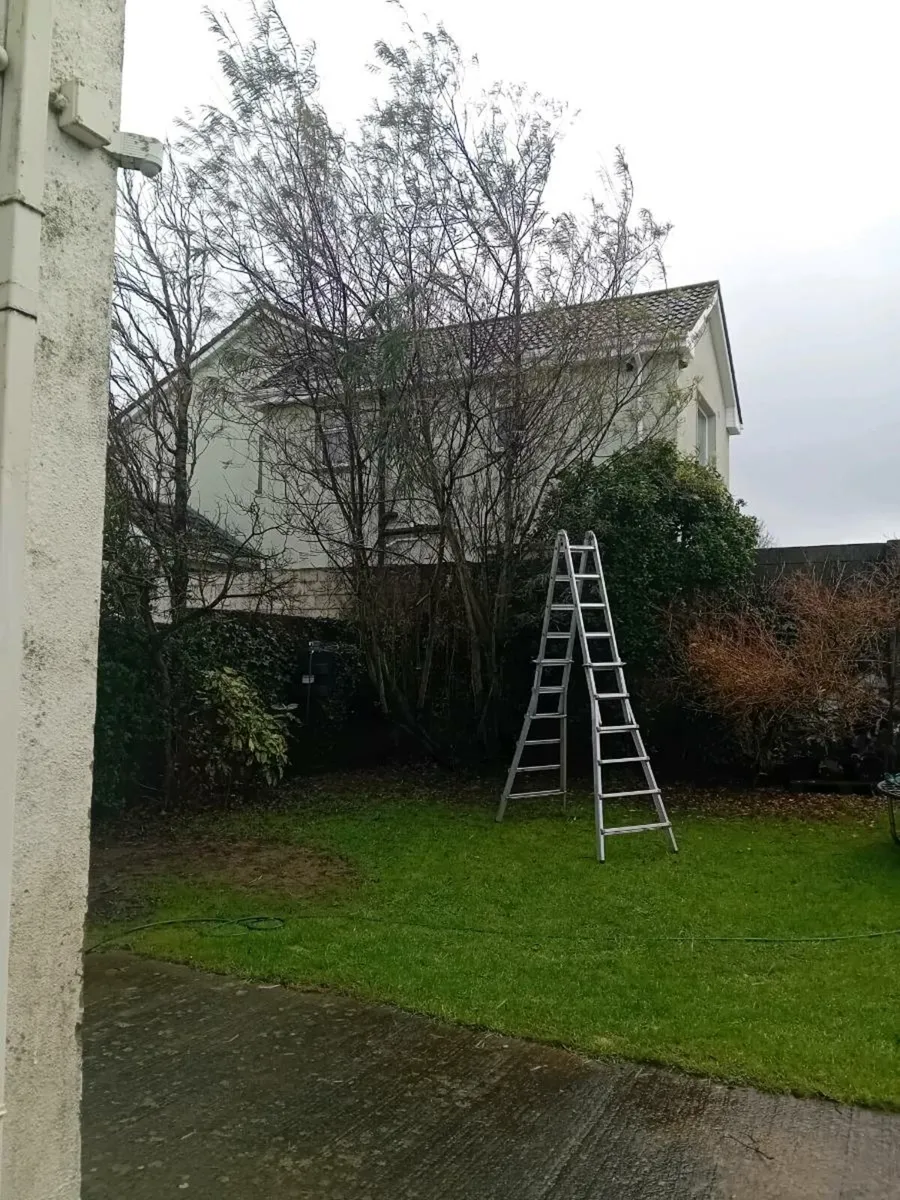 Afforestation / hedge planting services - Image 3