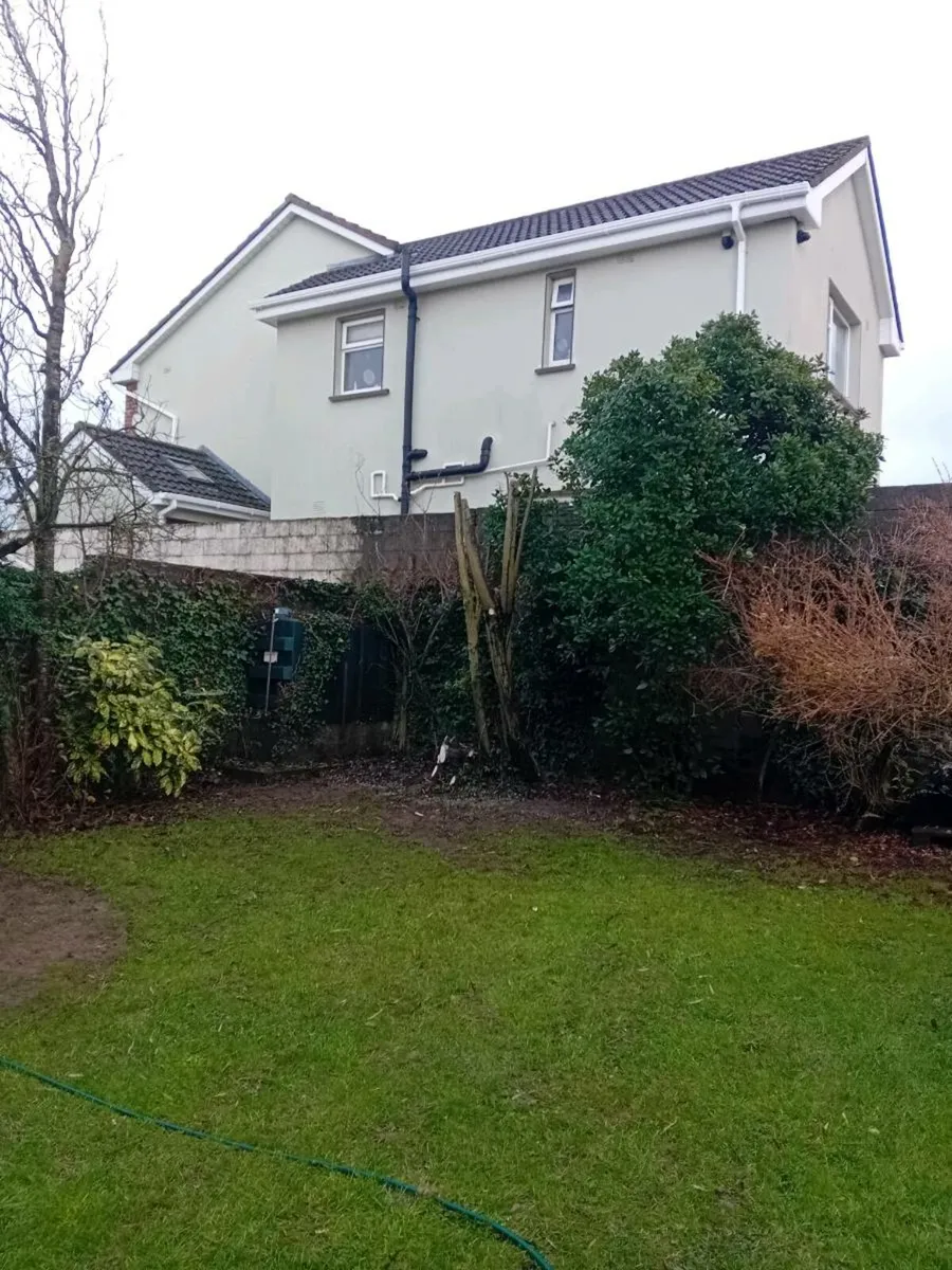 Afforestation / hedge planting services - Image 4