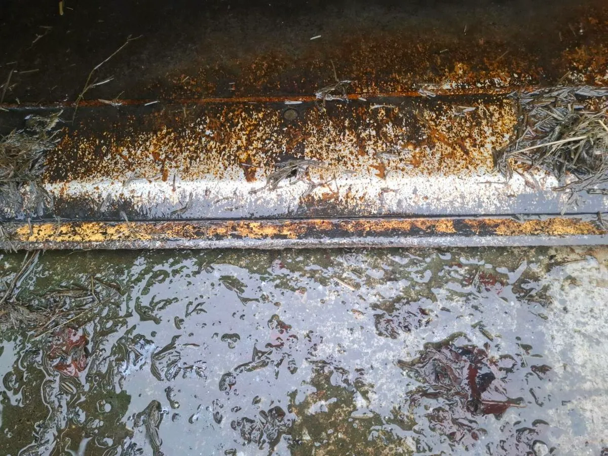 Cat loader  bucket - Image 2