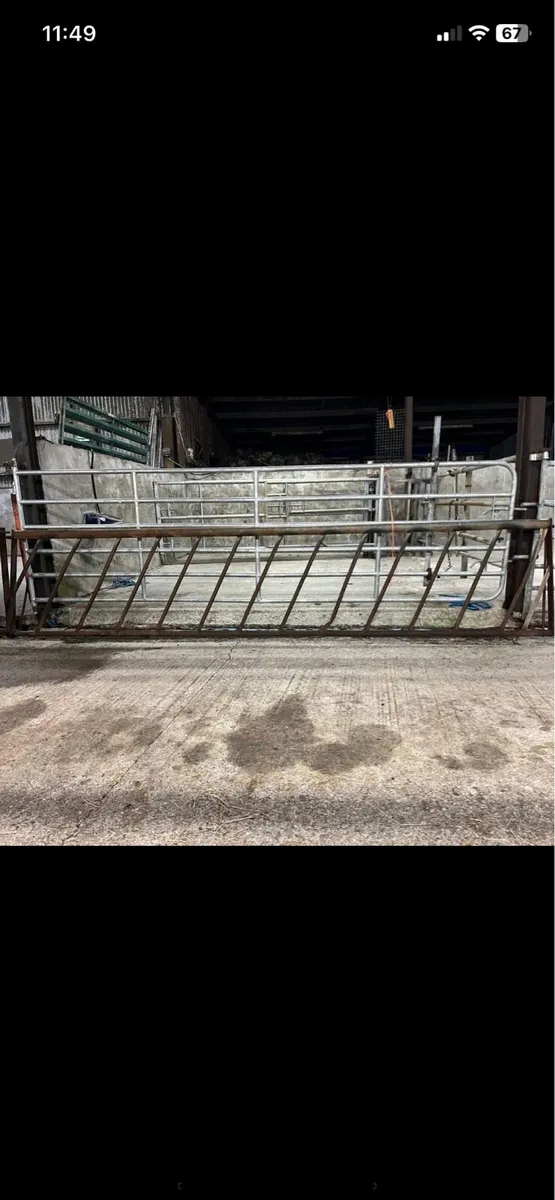 Feeding barriers - Image 3