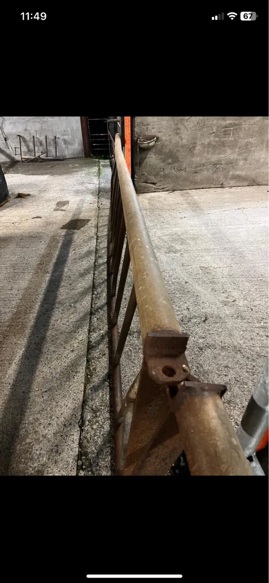 Feeding barriers - Image 4