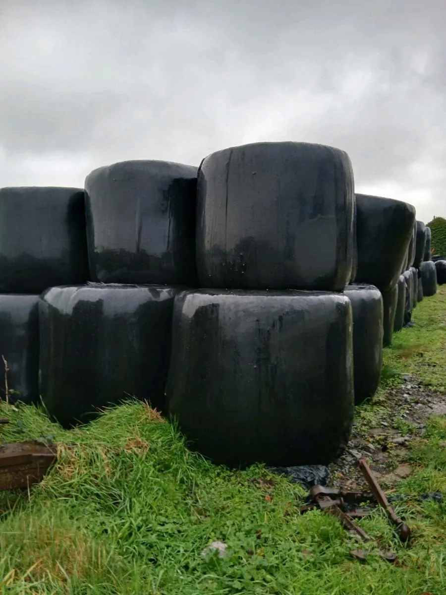 Slage bales(delivery anywhere) - Image 1