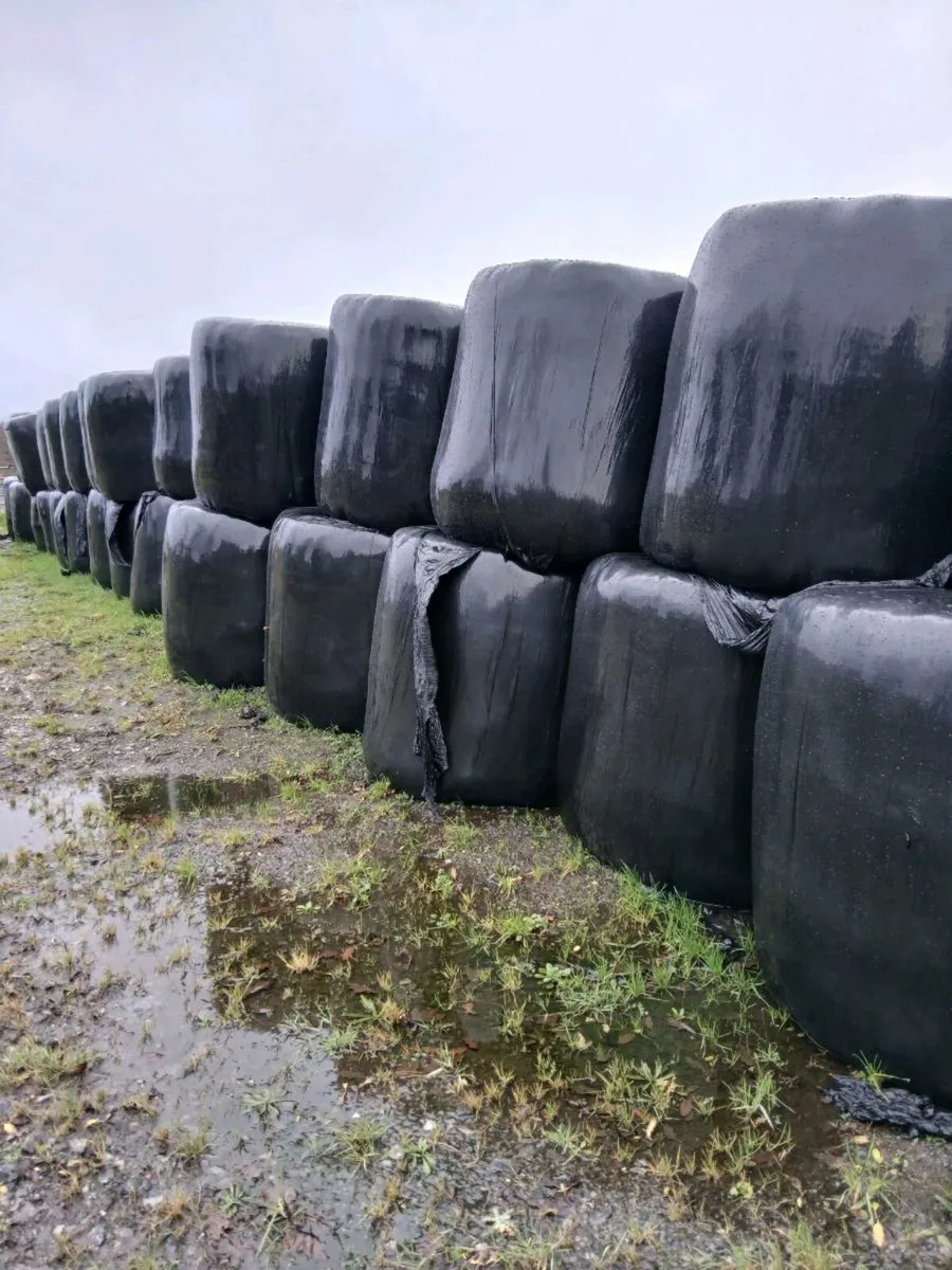 Slage bales(delivery anywhere) - Image 2