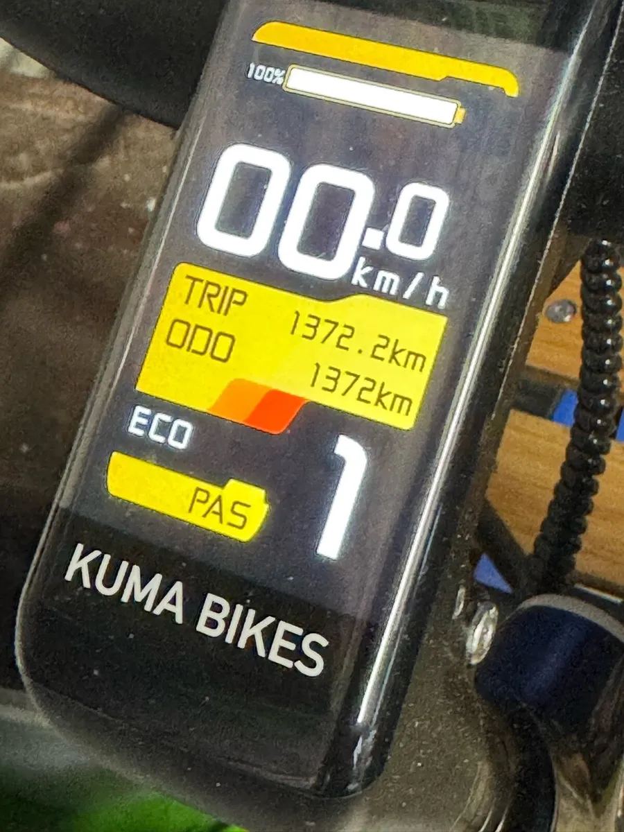 Bike Kuma e-Bike - Image 2