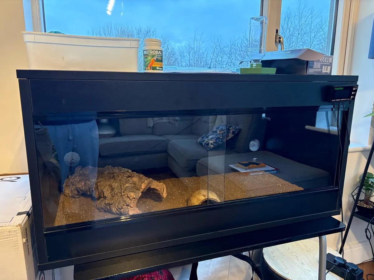 Reptile/Tortoise Tank with all the Accessories - Image 1