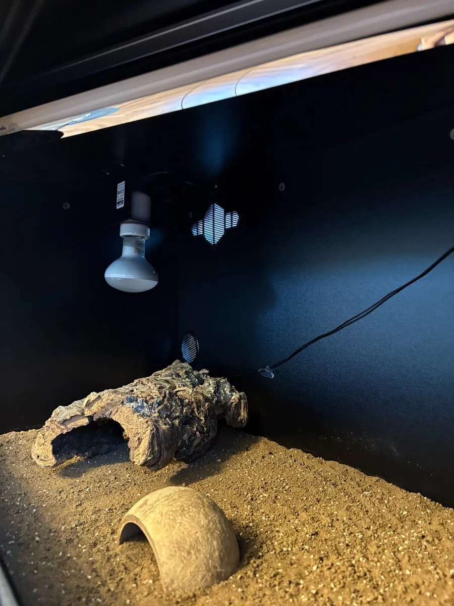 Reptile/Tortoise Tank with all the Accessories - Image 2