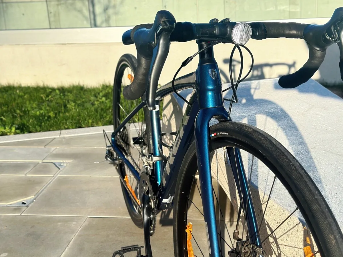 TREK Road Bike - Image 3