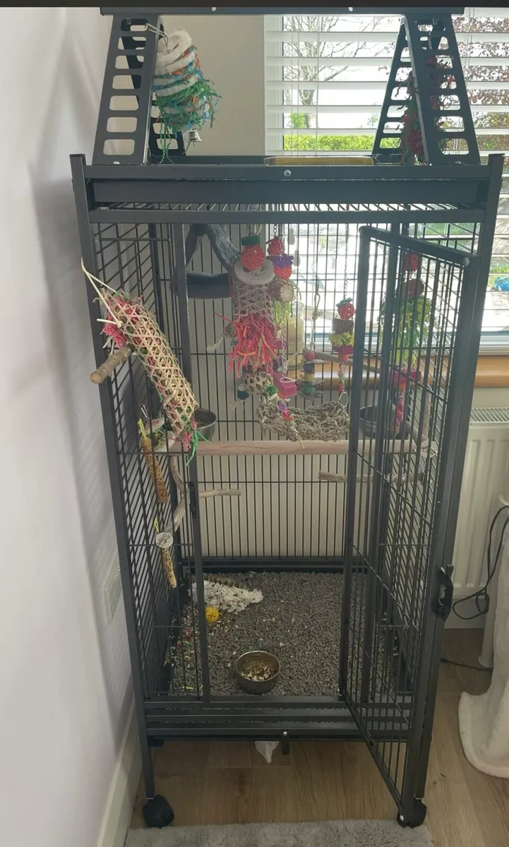 Cockatiel cage - Image 1