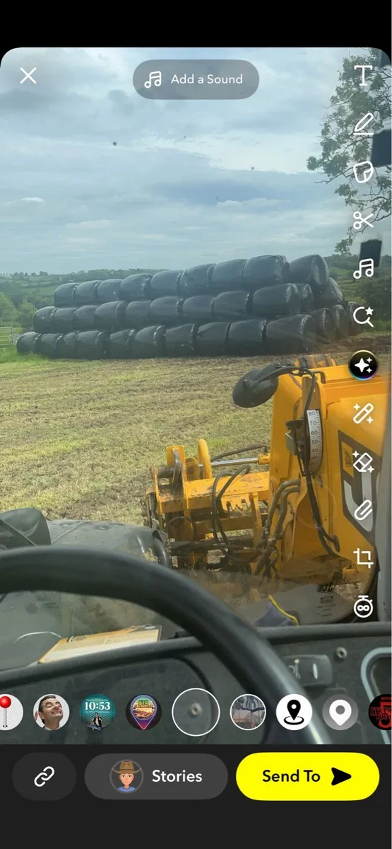 silage bales - Image 1