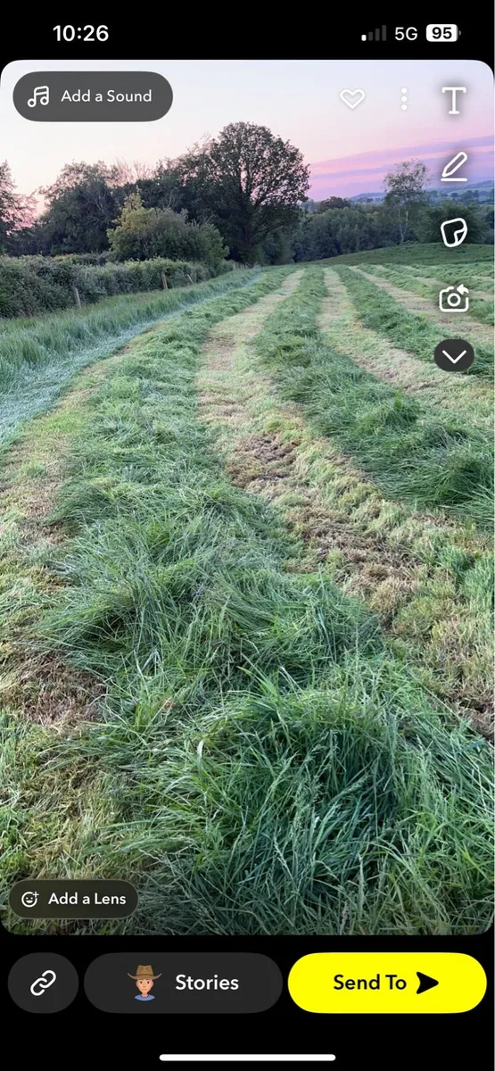 silage bales - Image 2