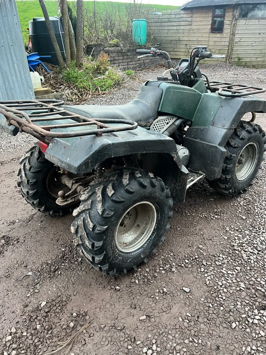 Yamaha grizzly - Image 2