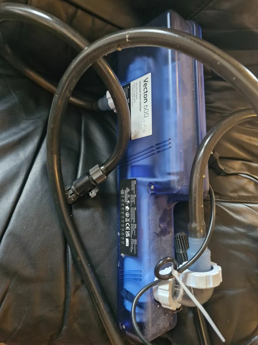 Yellow belly cooters - Image 3