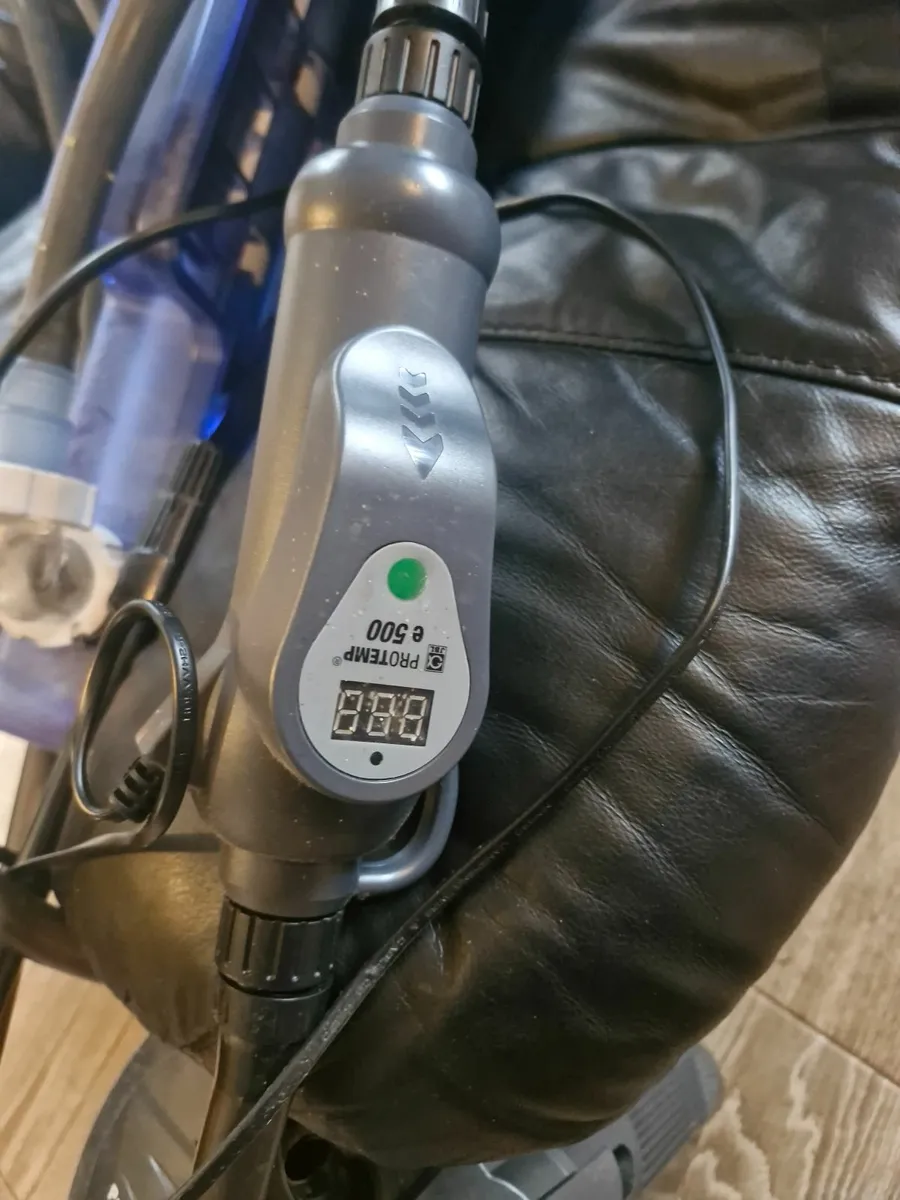 Yellow belly cooters - Image 4