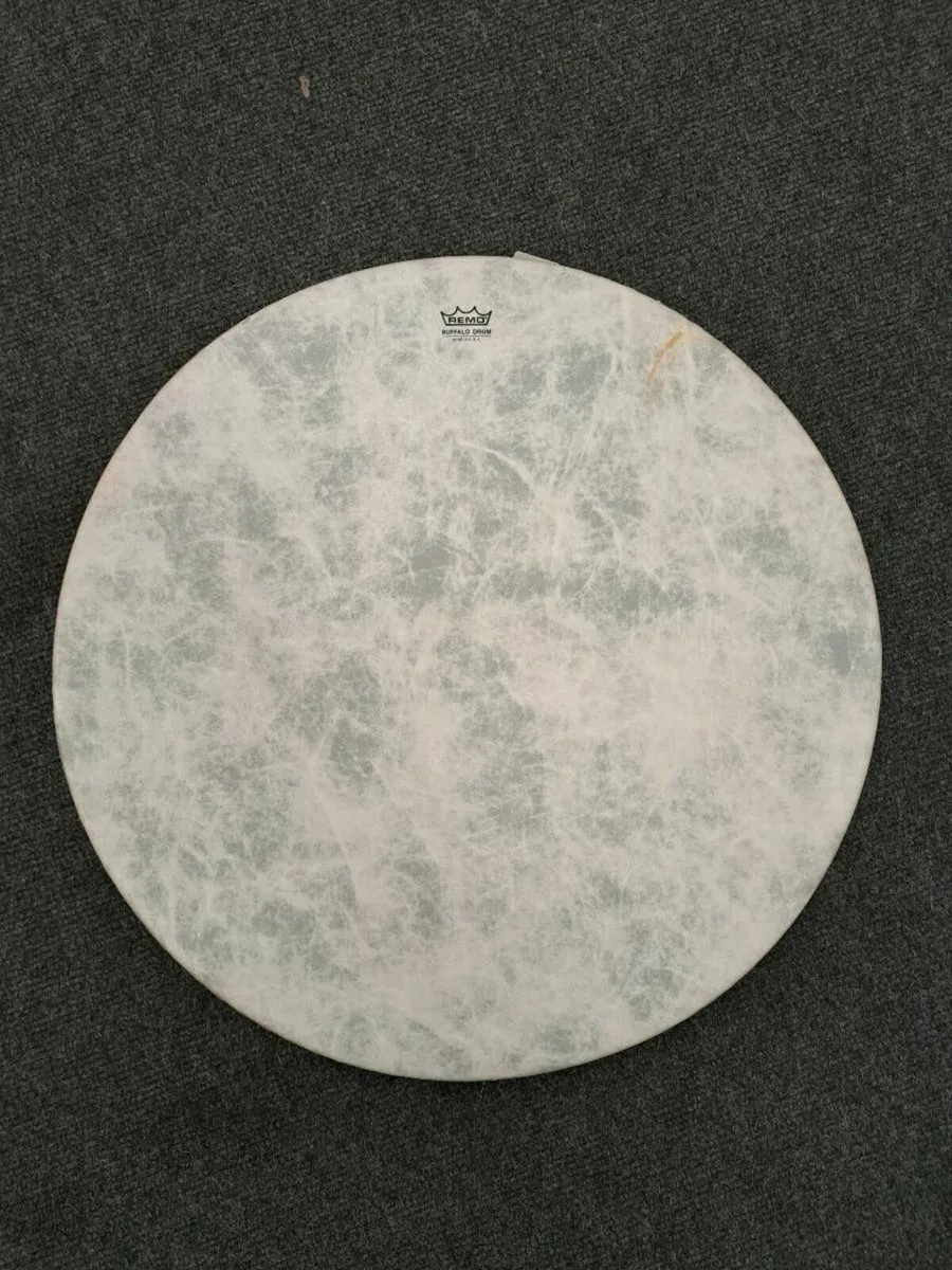 Remo Buffalo Drum Made in USA - Image 1