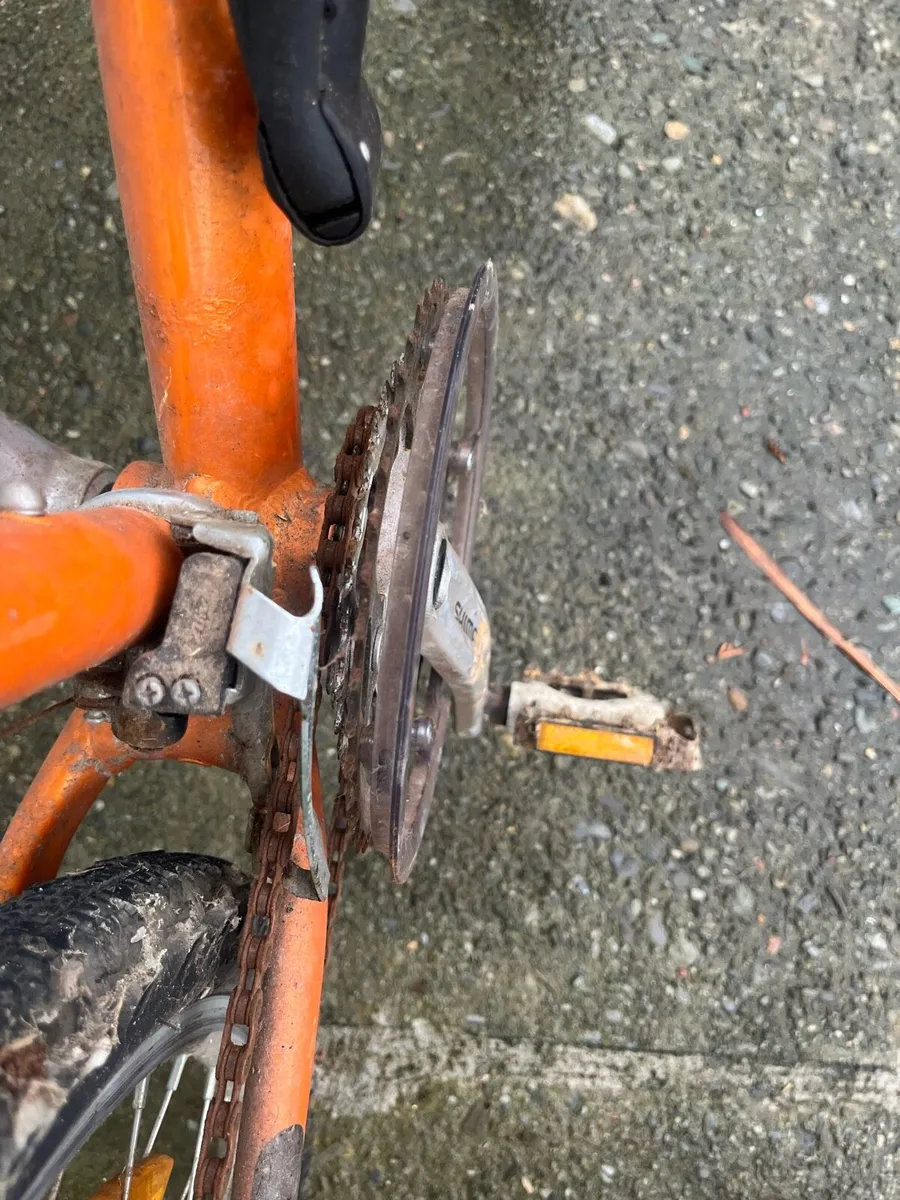 Bicycle. Mountain bike. - Image 4