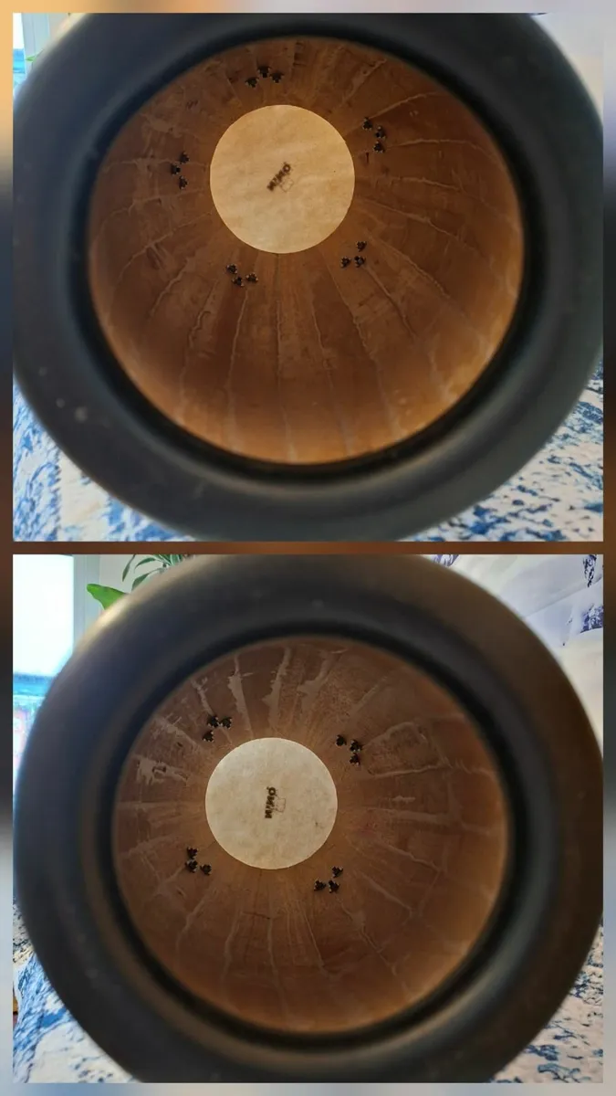 Set of Nino Congas - Image 3