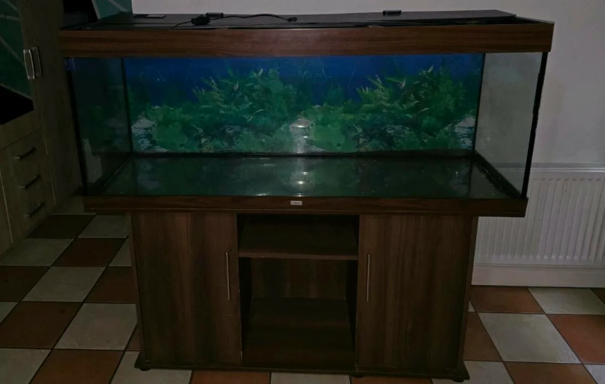 Fish tank Juwel Rio 450l - Image 2