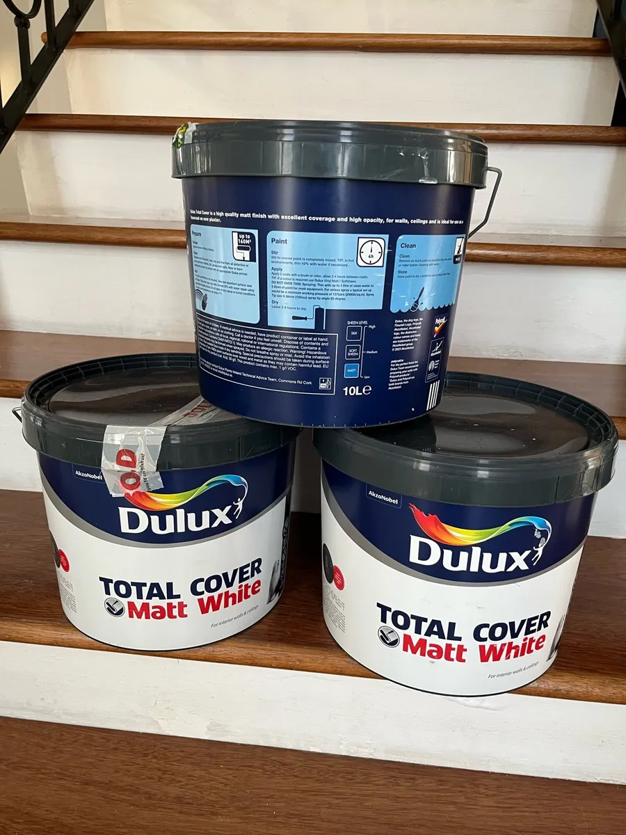 Emulsion Paint - Image 2