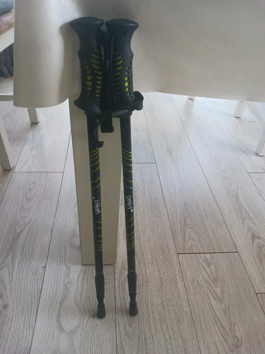 Hiking boots - Image 1