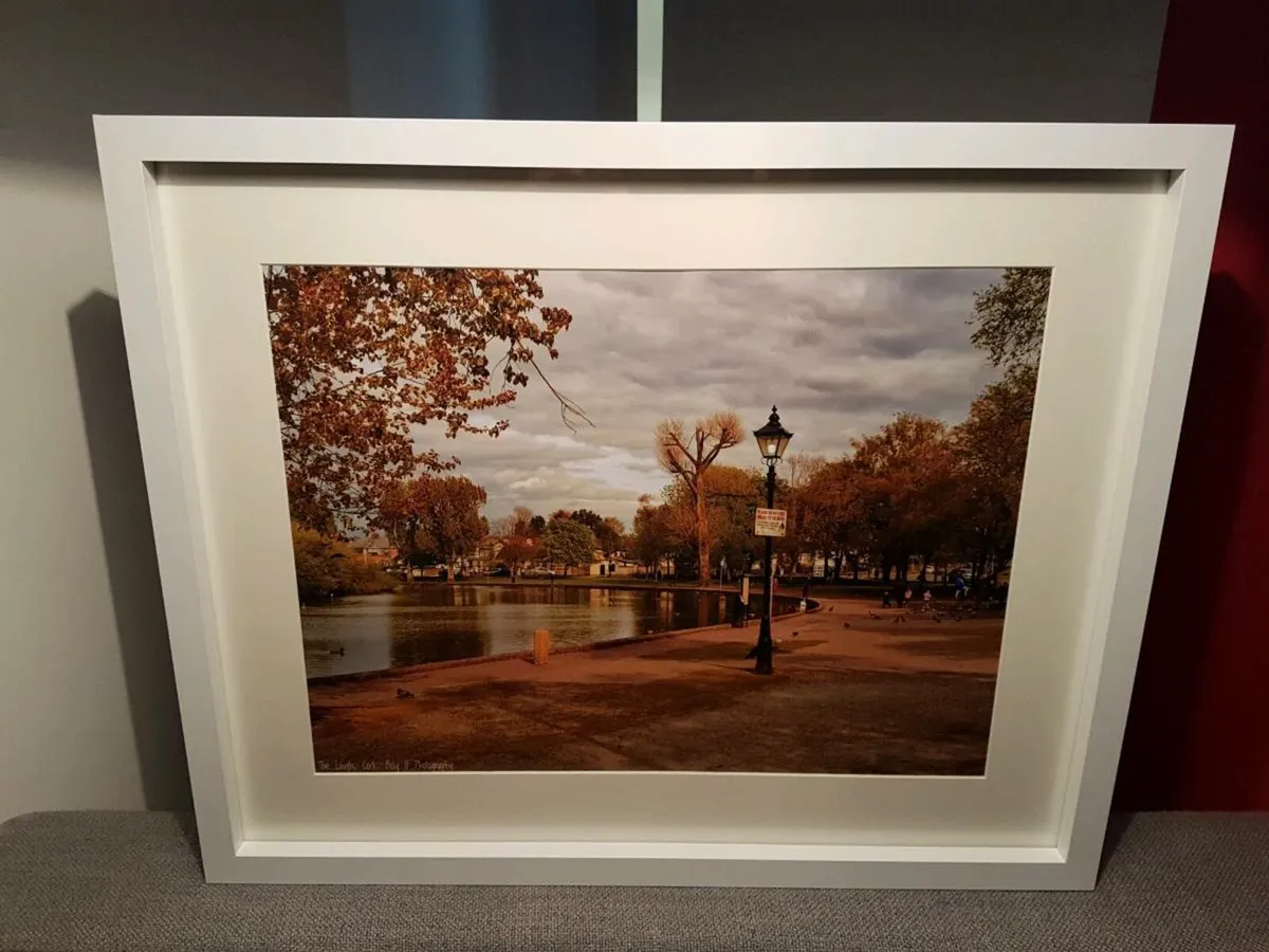 The Lough, Cork - Image 1