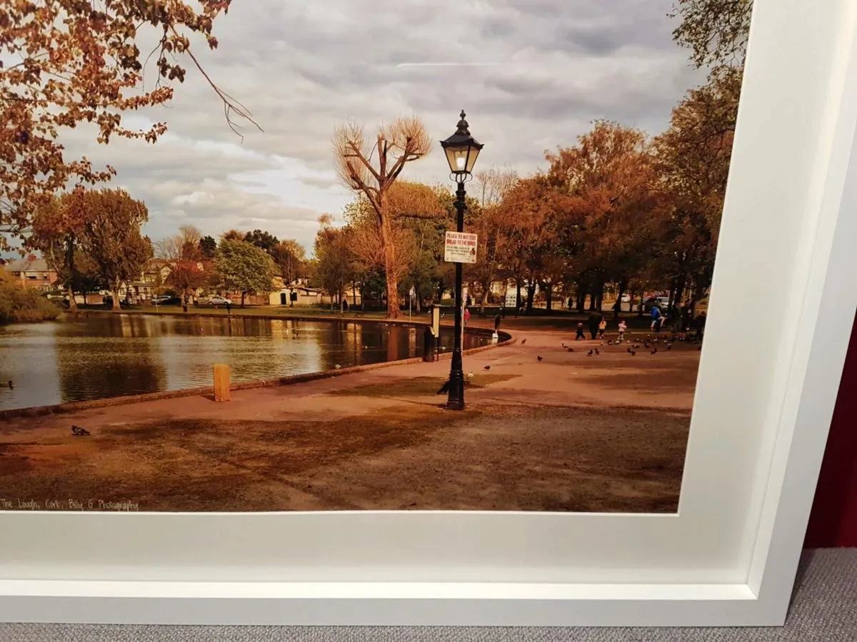 The Lough, Cork - Image 2