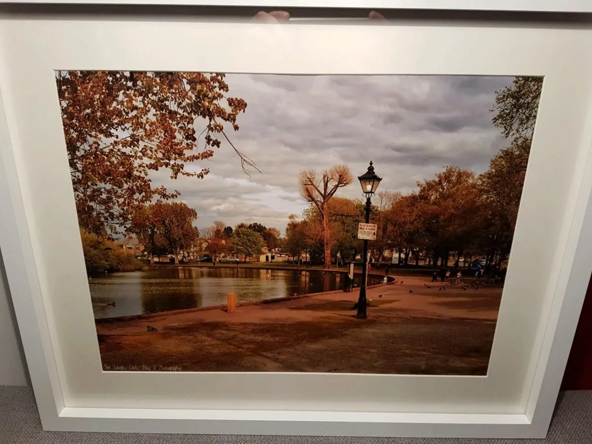 The Lough, Cork - Image 3