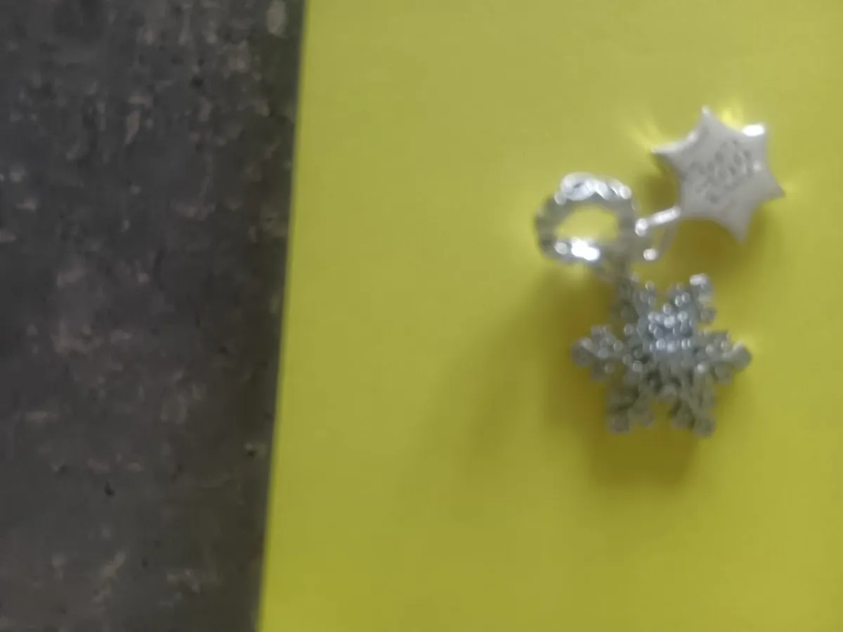 Pandora charms - Image 3