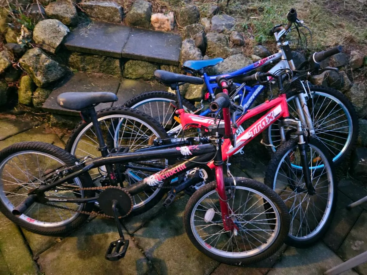 3 bikes - free