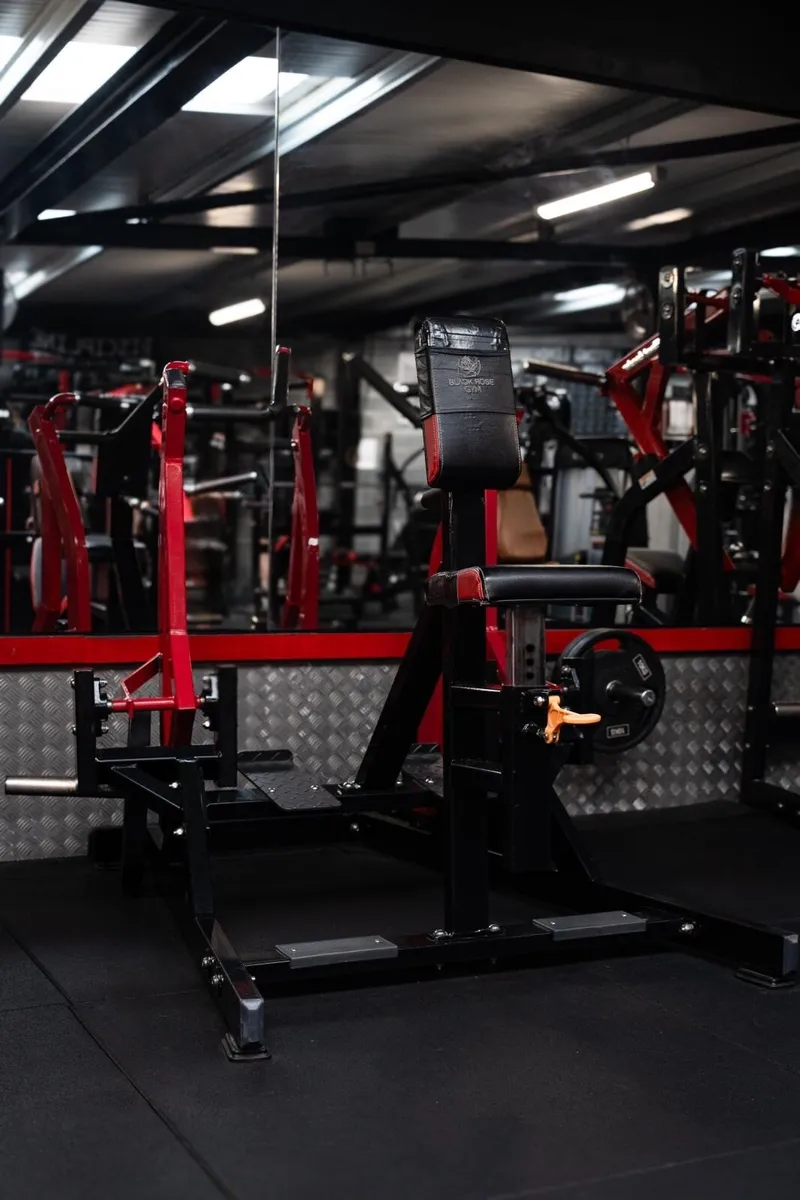 Realleader Iso-Lateral Row