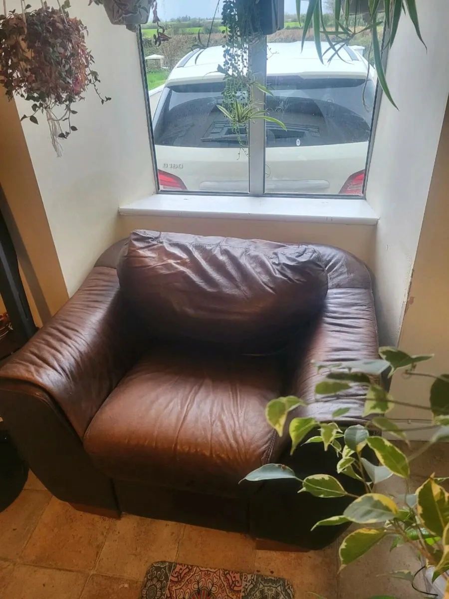 2 Leather Arm Chairs - Image 1