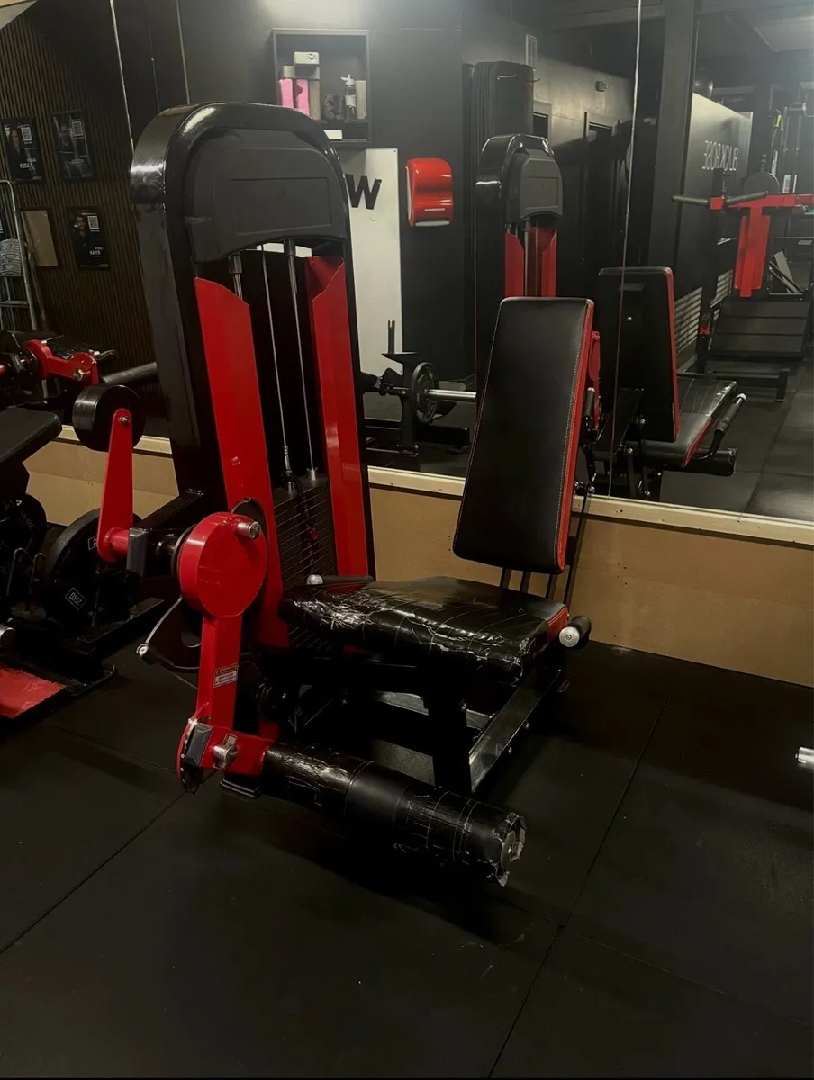 Realleader Leg Extension