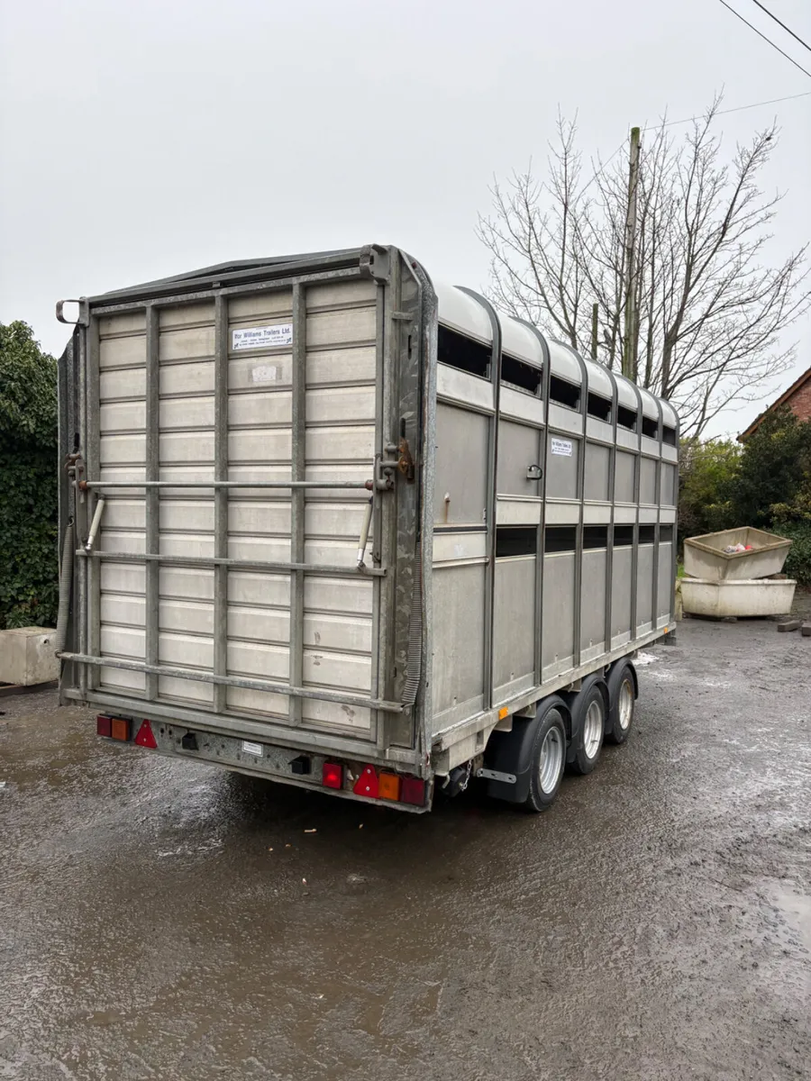 Ifor Williams 14ft dp cattle trailer - Image 3