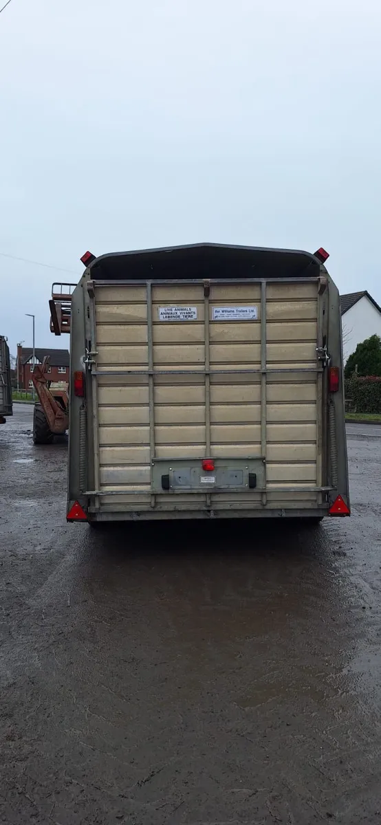Ifor Williams 14ft cattle trailer - Image 2