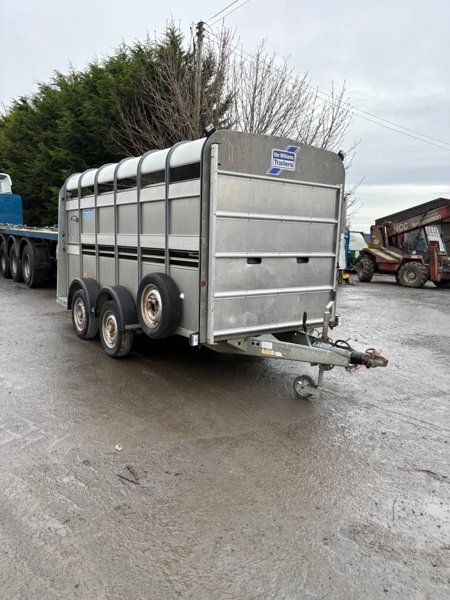 Ifor Williams 12ft cattle trailer - Image 1