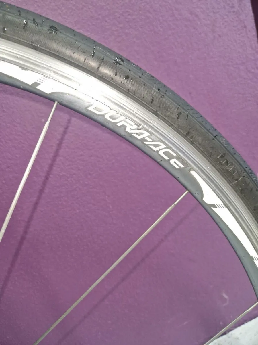 Dolan Ares carbon , ultegra, junior\s.adult 48 - Image 3