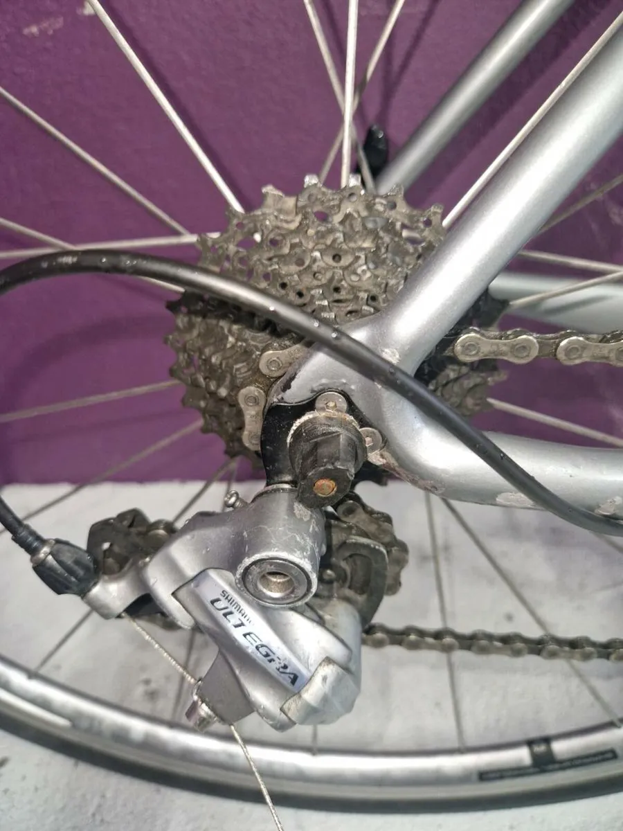 Dolan Ares carbon , ultegra, junior\s.adult 48 - Image 4