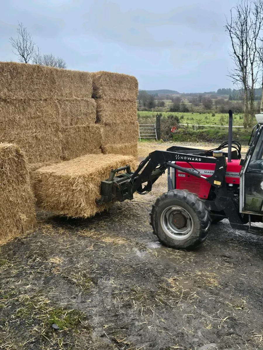 Barley straw - Image 2