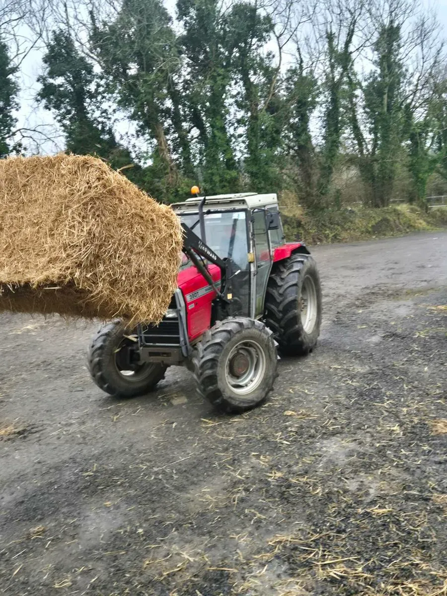 Barley straw - Image 3