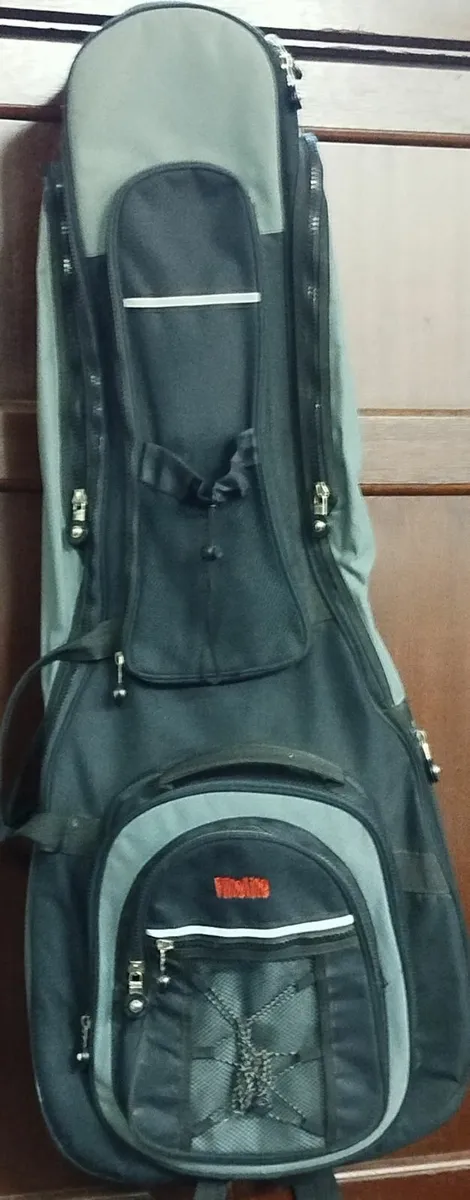 Padded guitar bag