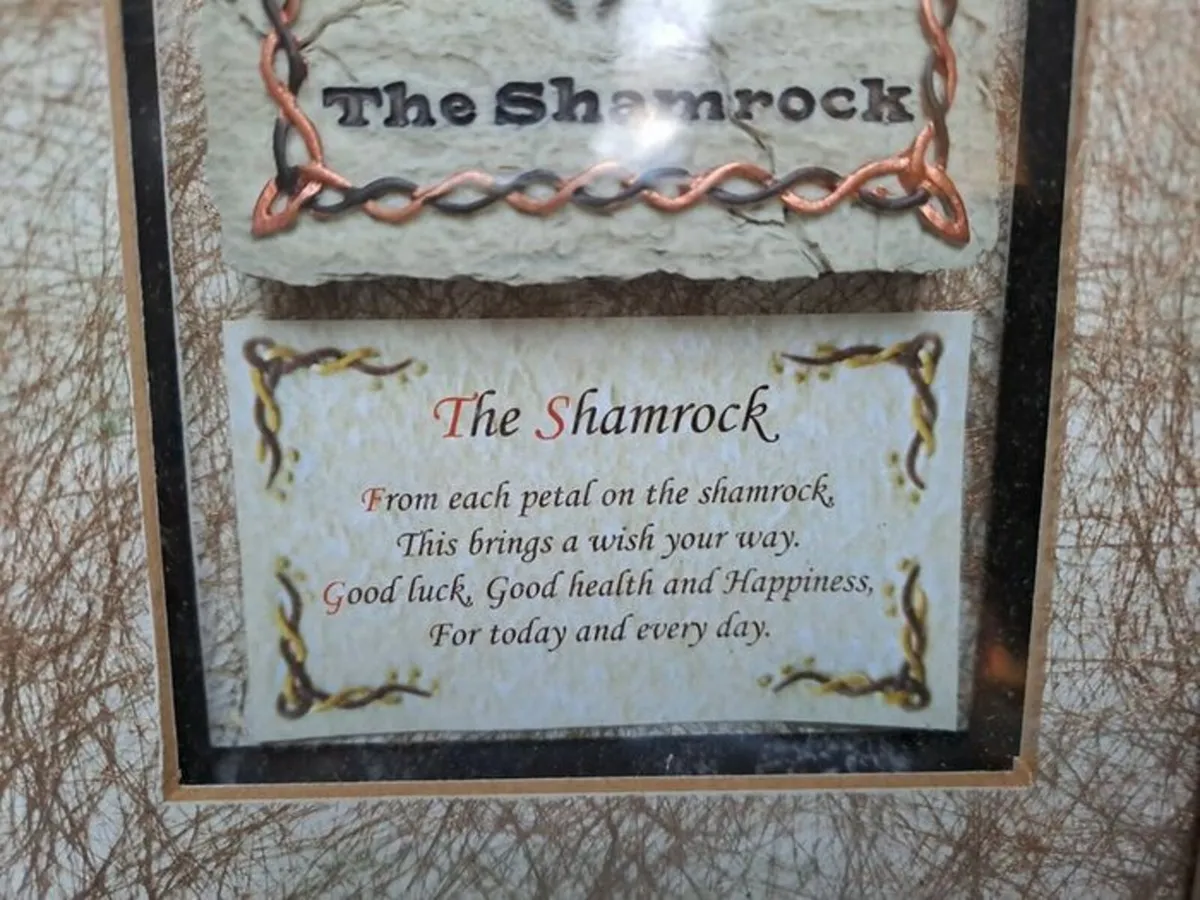 Vintage Irish Shamrock Picture Frame - Image 4