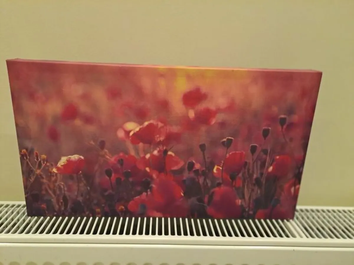 Picture of poppies canvas - Image 1