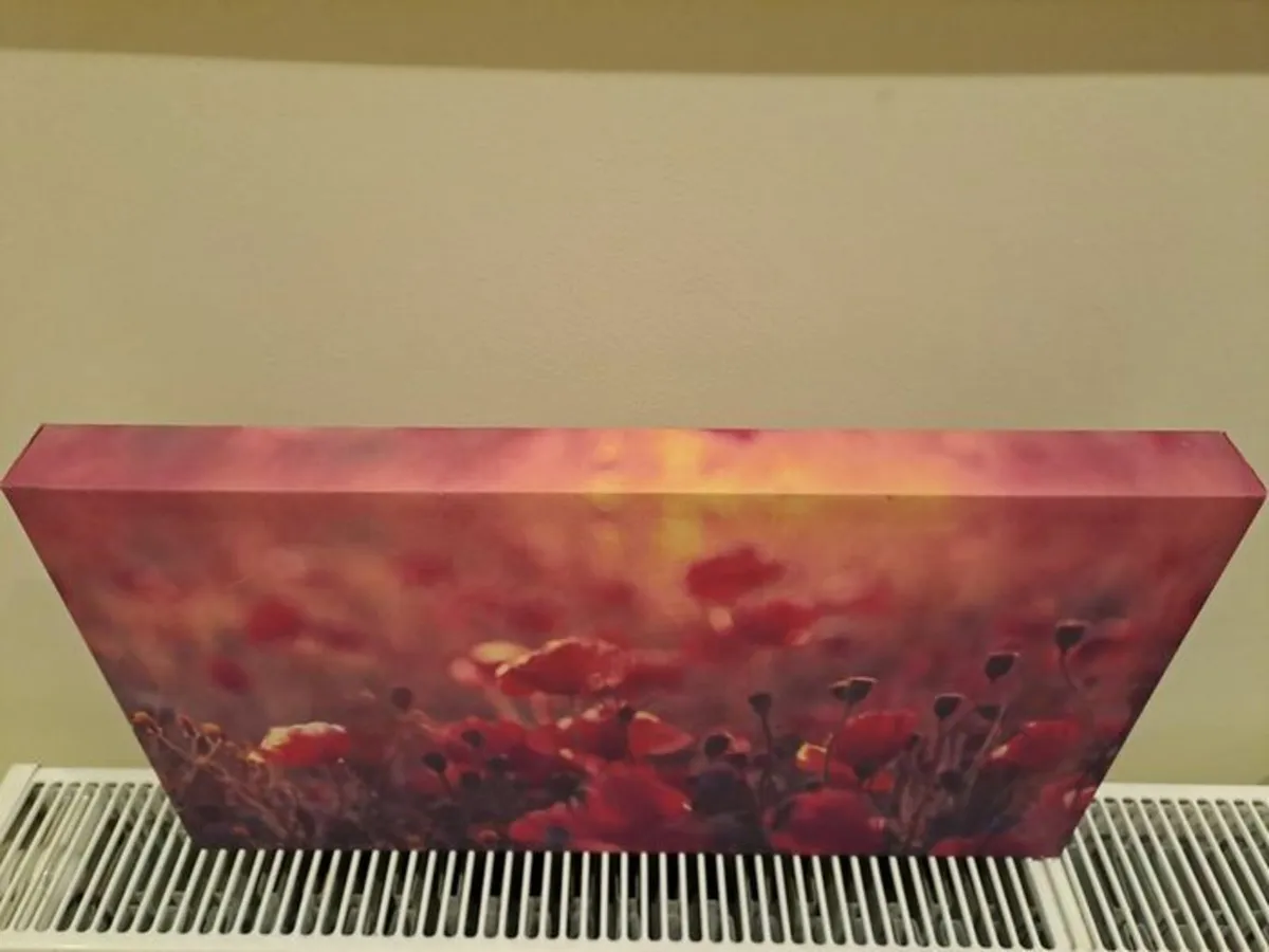 Picture of poppies canvas - Image 2