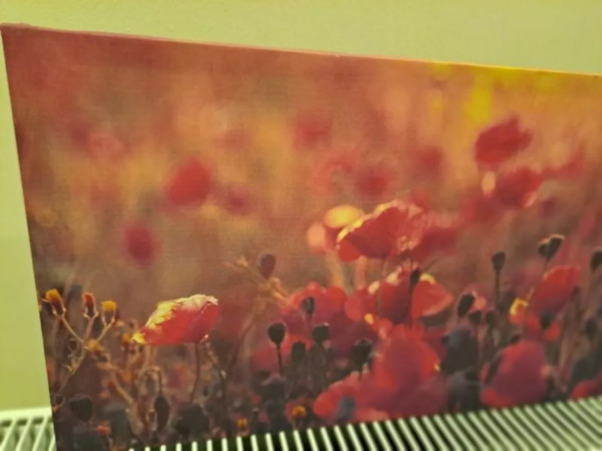 Picture of poppies canvas - Image 3