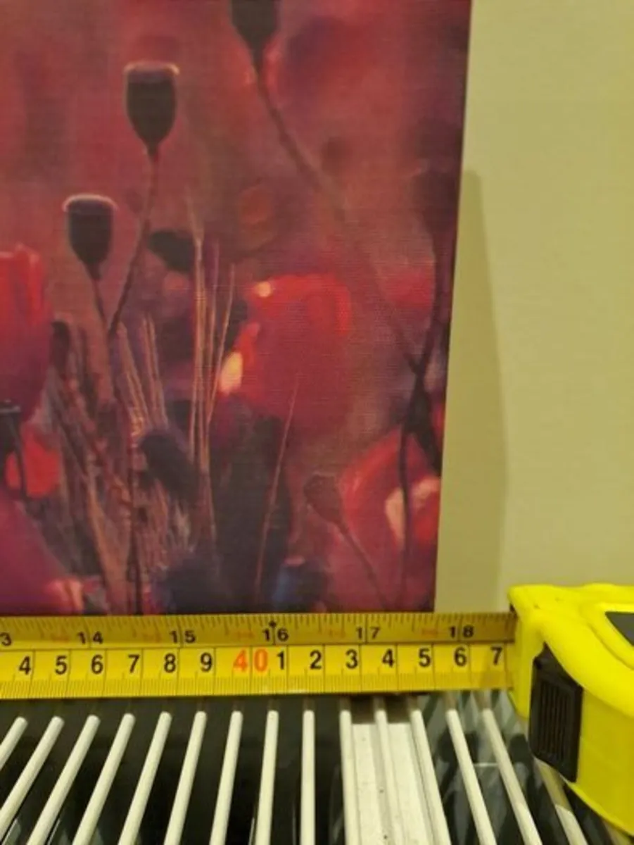 Picture of poppies canvas - Image 4