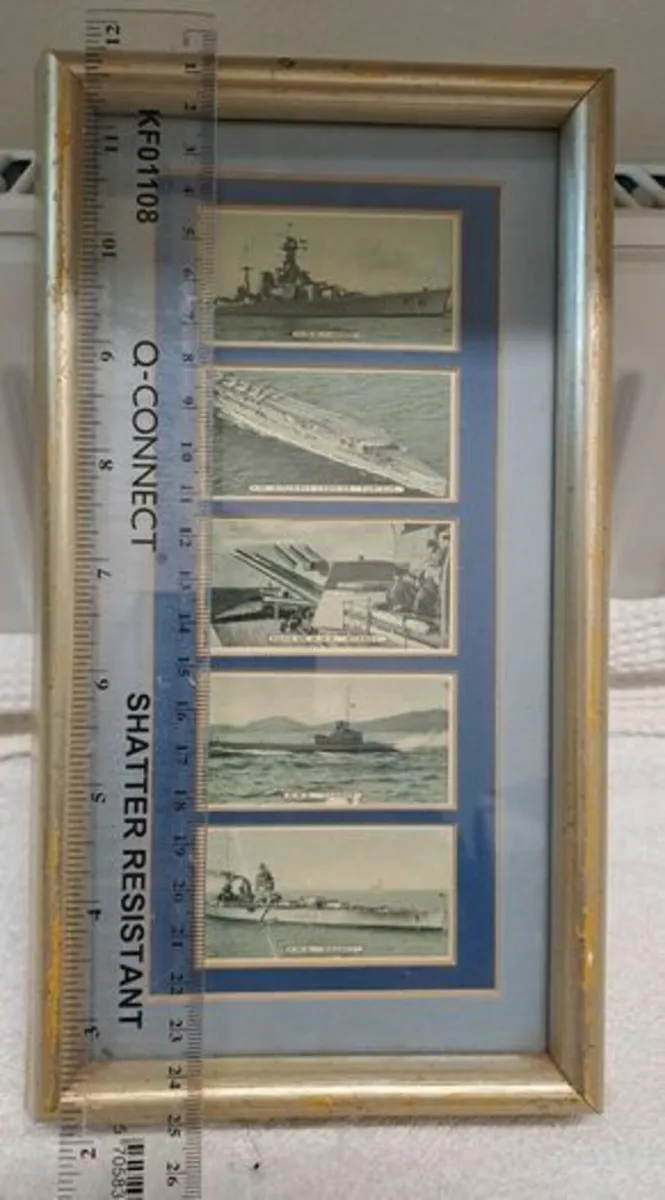 Britain's Defenders Picture - Image 4