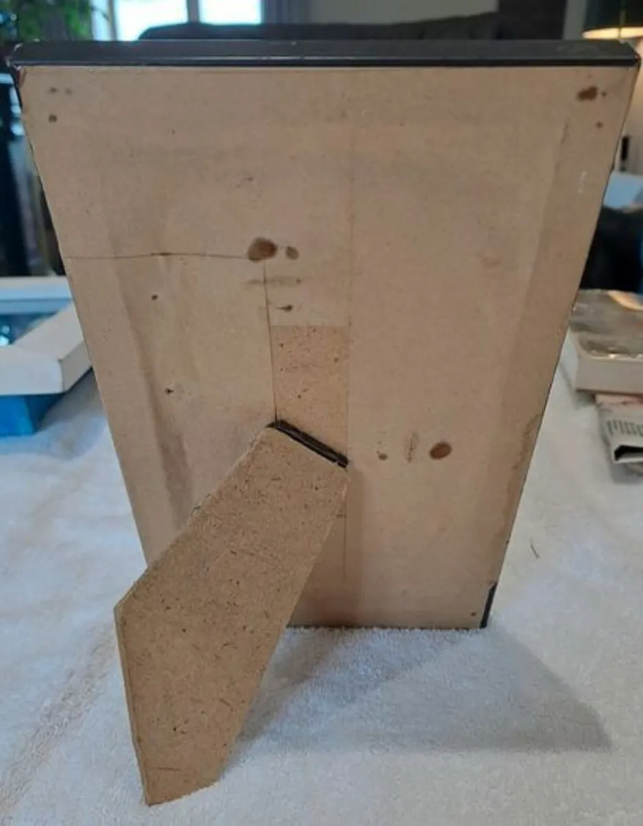 The Border Collie Picture - Image 3