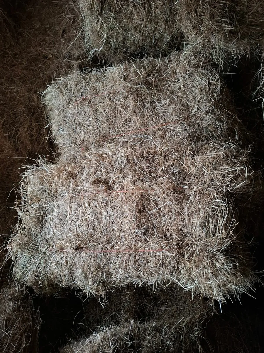 Square bales of Hay - Image 1