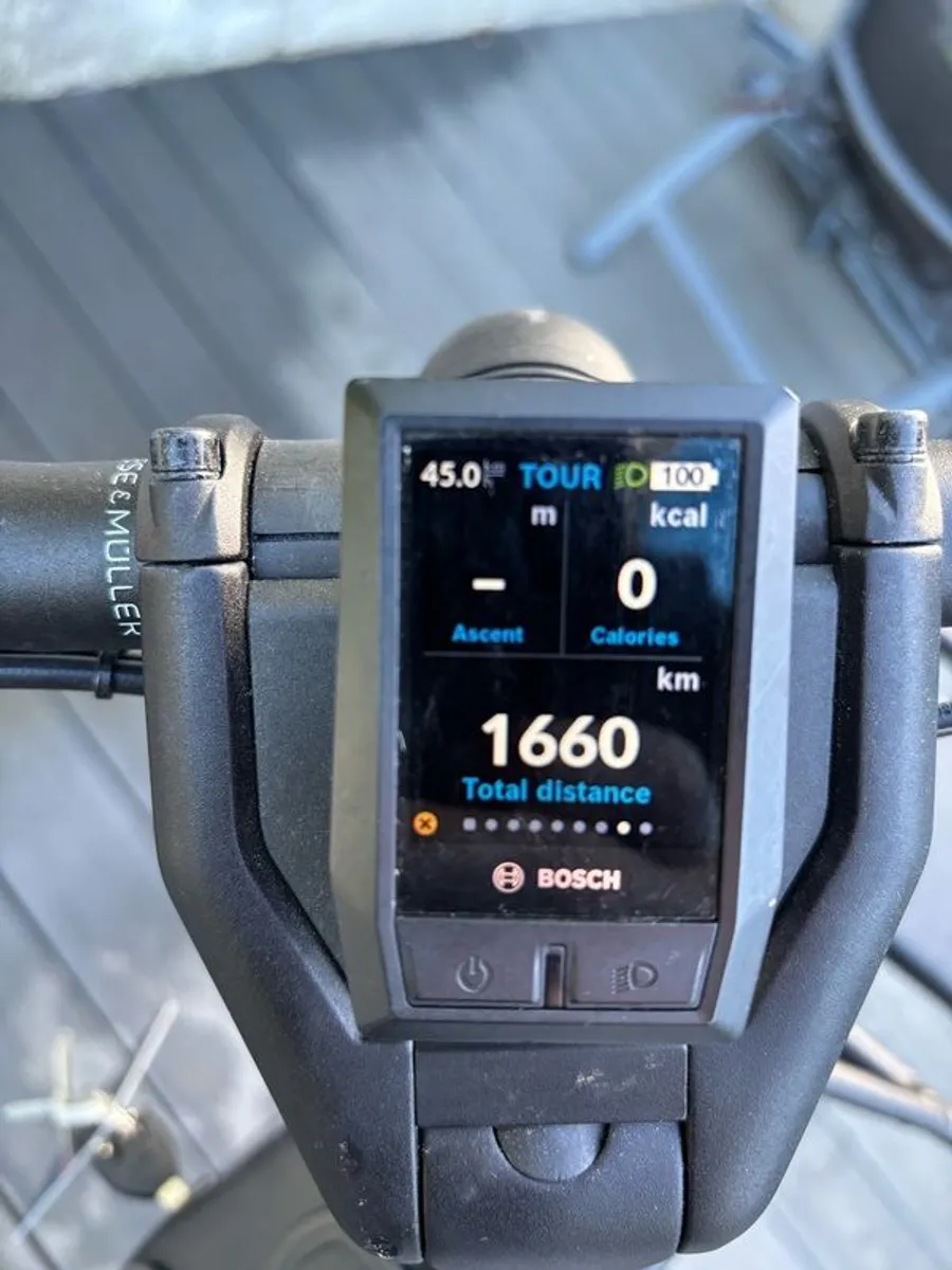 Electric Bike - Image 3